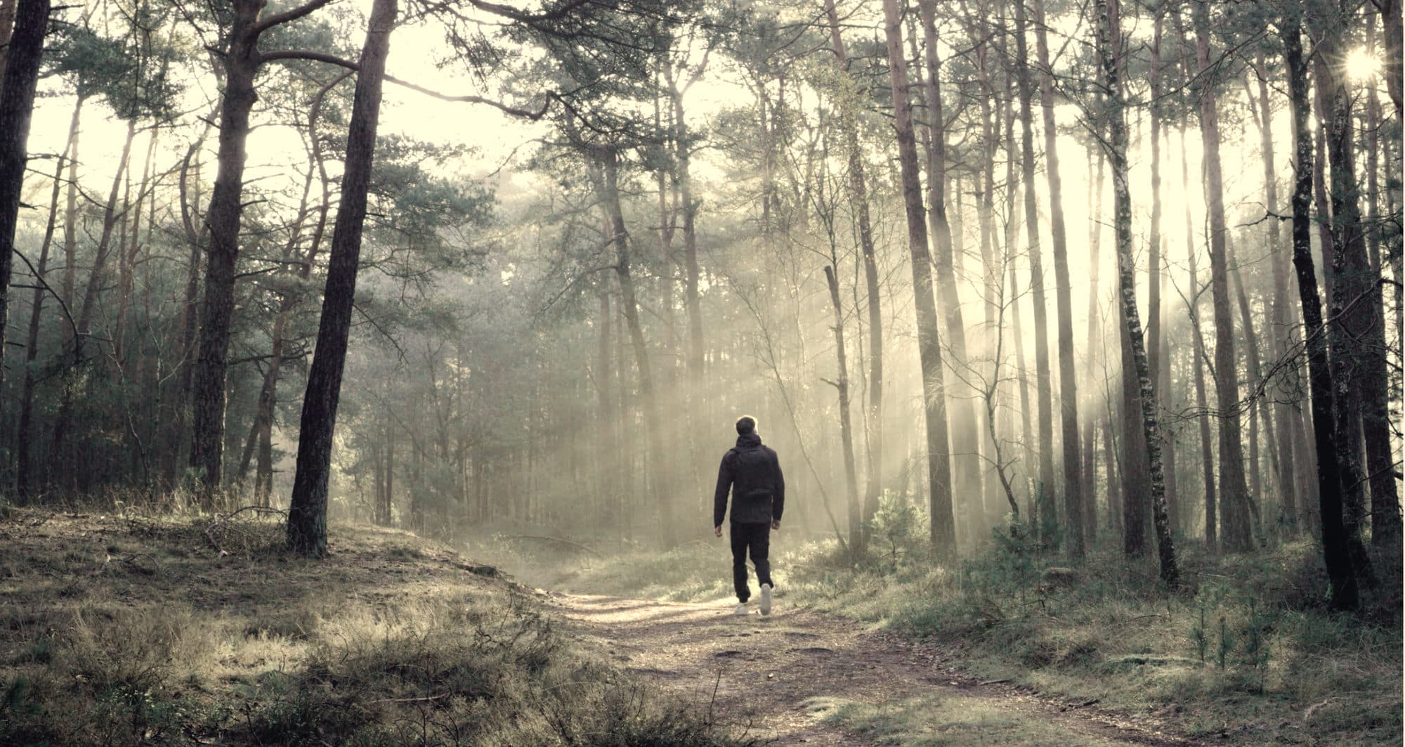 Light falling through a forest in long shafts, and someone walking up the path into it.