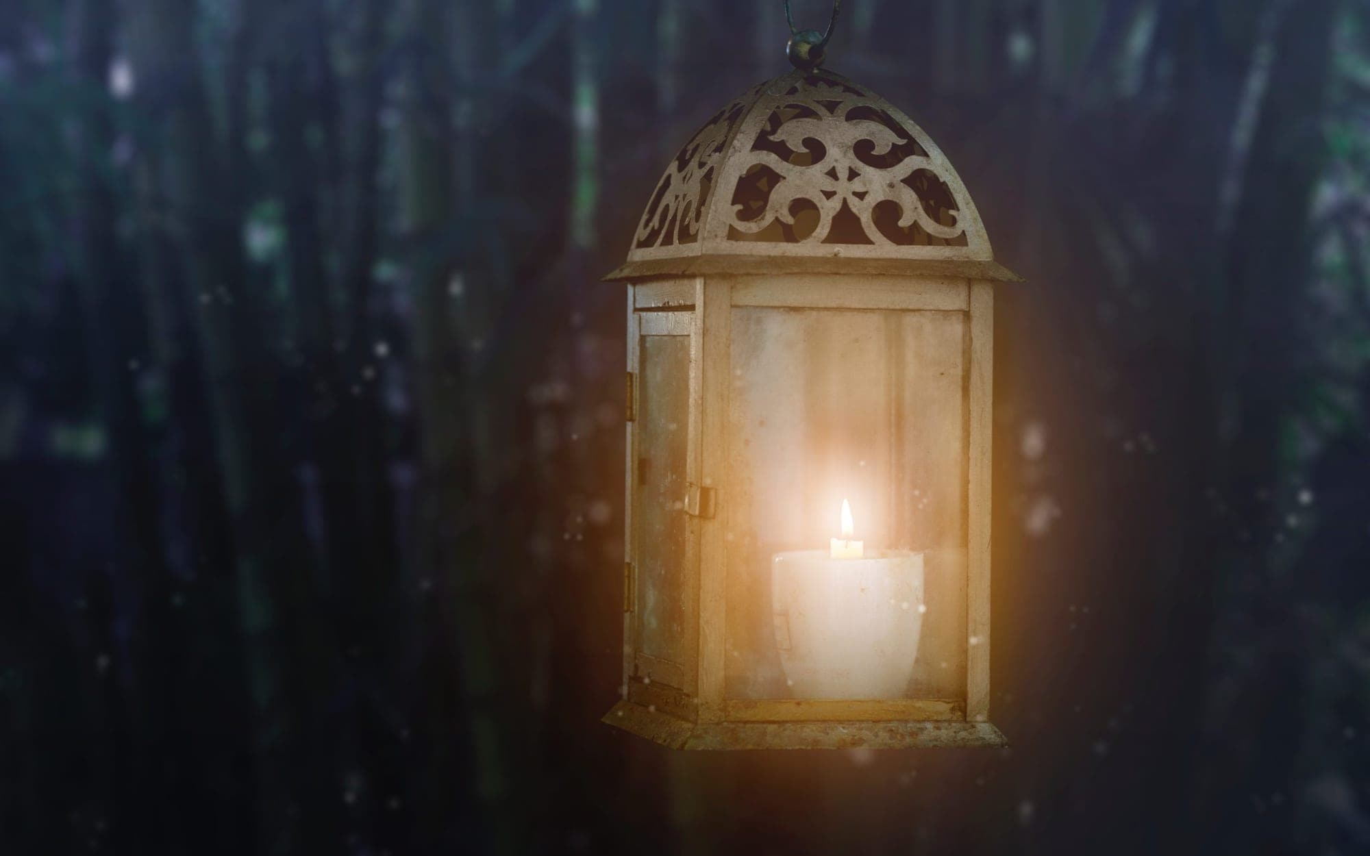 An old glass lantern hanging lit in a dark wood, its candle burning.